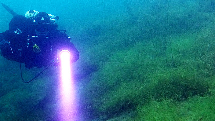 Diving into another world ...