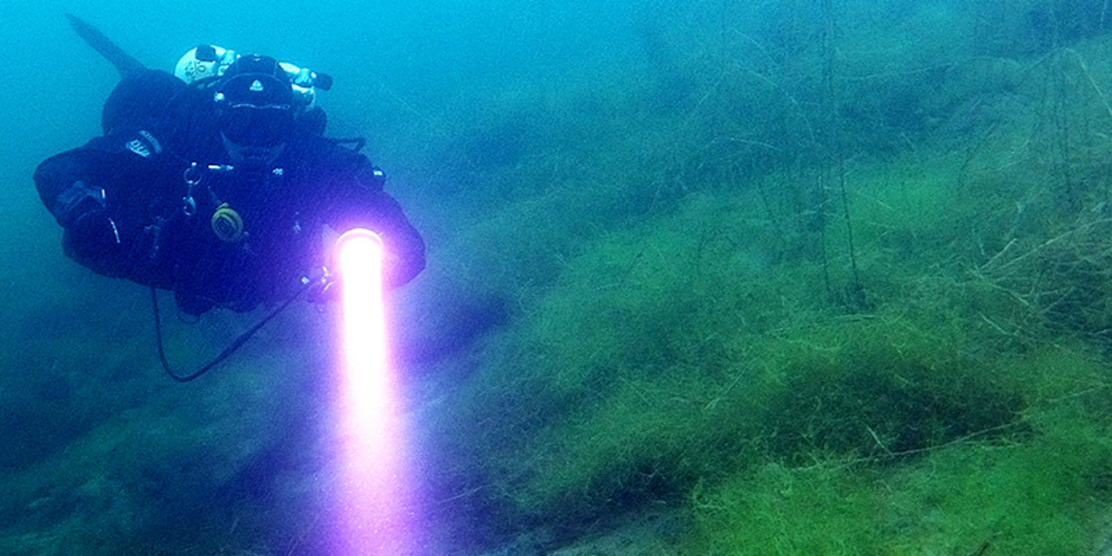 Diving into another world ...